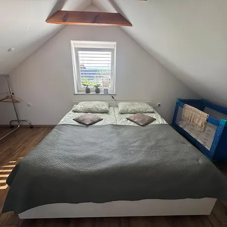 Holiday home Hiska Pri Brajdah *